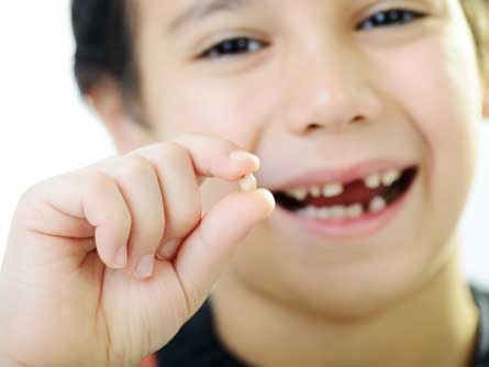 Удаление молочного зуба у детей